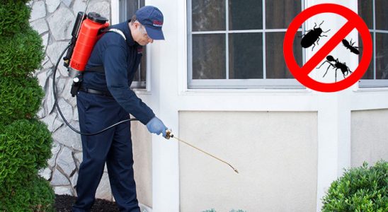 Çanakçı Dezenfeksiyon böcek ilaçlama ve haşere kontrolü — ilaclama-tr.com
